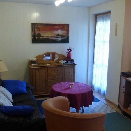 Schwarzwaldhaus Daire Elzach Dış mekan fotoğraf