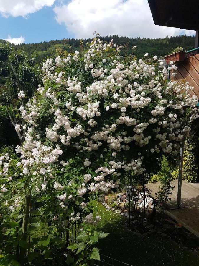 Schwarzwaldhaus Daire Elzach Dış mekan fotoğraf